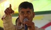 Chandrababu's TDP shines in Seemandhra in crucial civic polls