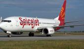 SpiceJet plane hits buffalo during take-off