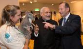 When a cuddly koala bear charmed PM Modi