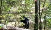 Last moments of Indian-origin hiker killed by a bear