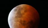 Going, going, gone. 2014's last Blood Moon