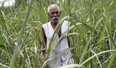 Mathura farmers cry foul as compensation cheques bounce