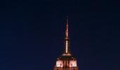 DON'T MISS: Stunning photos of animals light up Empire State Building