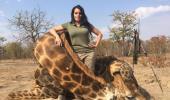 US hunting tourist sparks outrage; posts photos with dead giraffe