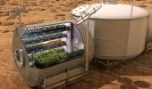 What's for dinner? Astronauts to feast on space-grown vegetables