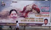 When Amma 'single-handedly saved Chennai from drowning'