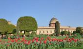 PIX: Prez's Mughal Garden is in full bloom and you are invited