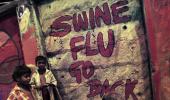 Swine flu: Death toll rises to 663, over 10,000 test positive