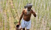 If land bill is anti-farmer, we'll change it: Modi