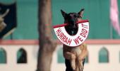 Elite dogs to guard Delhi when Obamas come visiting