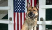 7 elite US canine officers have landed in Delhi