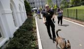 Parts of White House evacuated after bomb threat