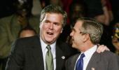 All you need to know about the third Bush in the running