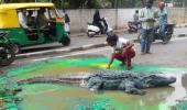 OMG! When Bengaluru found a crocodile on a busy street