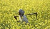 Lok Sabha set for confrontation over land bill on Tuesday