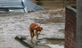 J-K flood fury: Toll rises as 6 more bodies recovered