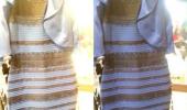 Mystery over the DRESS that broke the Internet solved