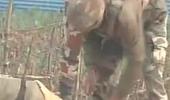 J-K: CRPF recovers 5-kg IED near Srinagar