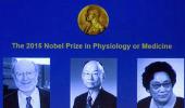 Nobel prize in medicine goes to 3 pioneers in parasitic diseases