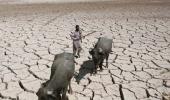 Dry as hell! 105 farmers commit suicide in a month in Marathwada