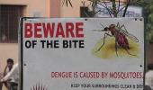 'Dengue outbreak may aggravate COVID-19 crisis'