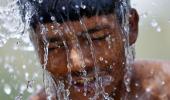 Telangana: It's only April, but the heat has already killed over 65