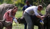 PHOTOS: Royals in the jungle: Will and Kate@Kaziranga