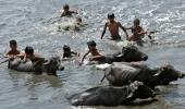 At 44 degree Celsius, mercury rises to season's highest in Delhi