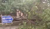 Trees uprooted, flights cancelled: Cyclone Vardah makes landfall