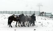 PHOTOS: First snow of season covers Gulmarg