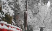 PHOTOS: Shimla turns snow white!