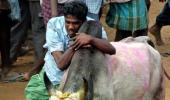 Jaya asks PM Modi to promulgate ordinance for Jallikattu