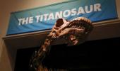 PHOTOS: 122-foot long Titanosaur 'invades' New York