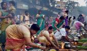 Tamil Nadu celebrates Pongal; Jallikattu ban plays spoilsport