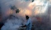 Will the dangerous Zika virus hit India?