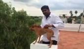 How Chennai identified the dog-thrower