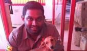 Dog flung off terrace found alive in Chennai; accused get bail