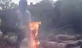 Shocking video shows puppies burnt alive by boys in Hyderabad