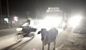 Mob thrashes 2 women in Madhya Pradesh over beef rumour