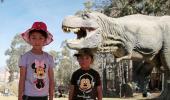 PHOTOS: Following in a dinosaur`s footsteps