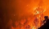 The devastating impact on glaciers, animals due to Uttarakhand fires