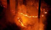 NGT issues notices to Uttarakhand, Himachal over forest fires