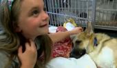 'Hero' dog saves 7-year-old girl from rattlesnake in US