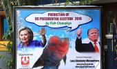 The fish that chose Trump