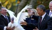 Obama pardons his last turkey... and has a pun-fest