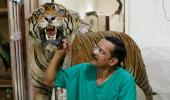 Meet India's only practising taxidermist