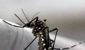 Lucknow reports two Zika virus cases, UP tally at 111