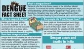 Dengue FAQ: What you MUST know