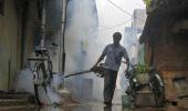 Stung! Delhi records 387 cases of dengue in 10 days