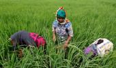 Budget: Bonanza for farmers & agriculture, Rs 10 lakh crore allocated